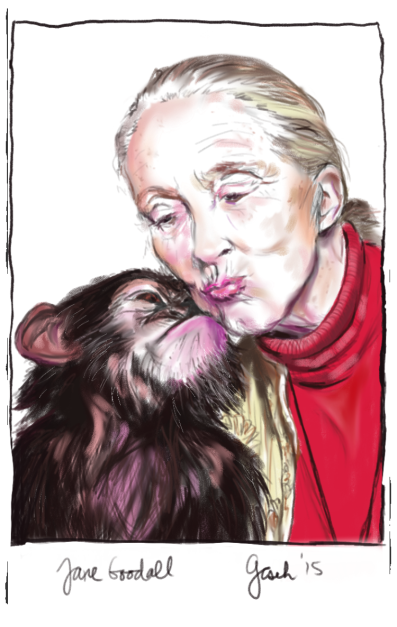 Jane Goodall drawing by G. Cseh